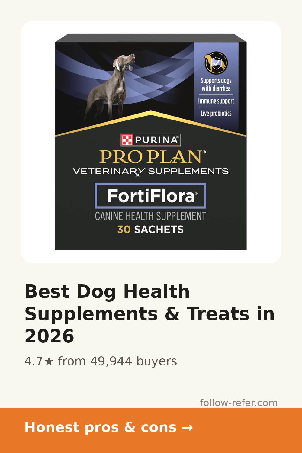 Best Dog Health Supplements & Treats in 2026